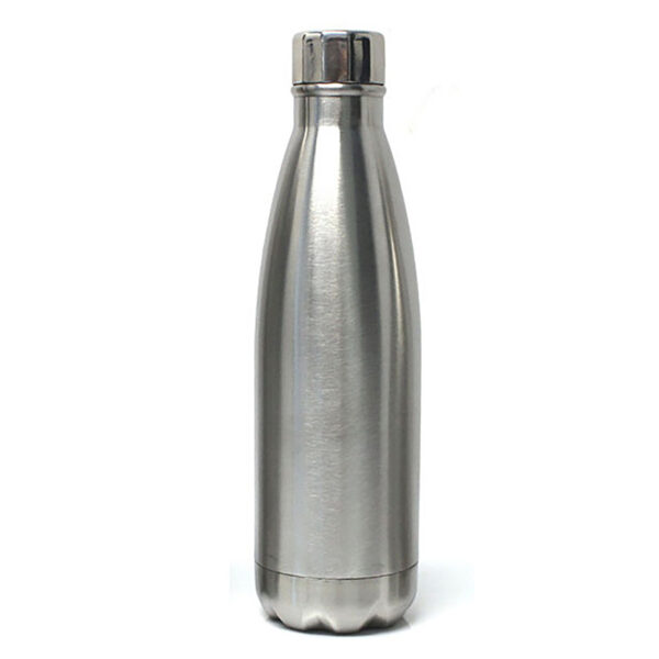 Stainless Water Bottle