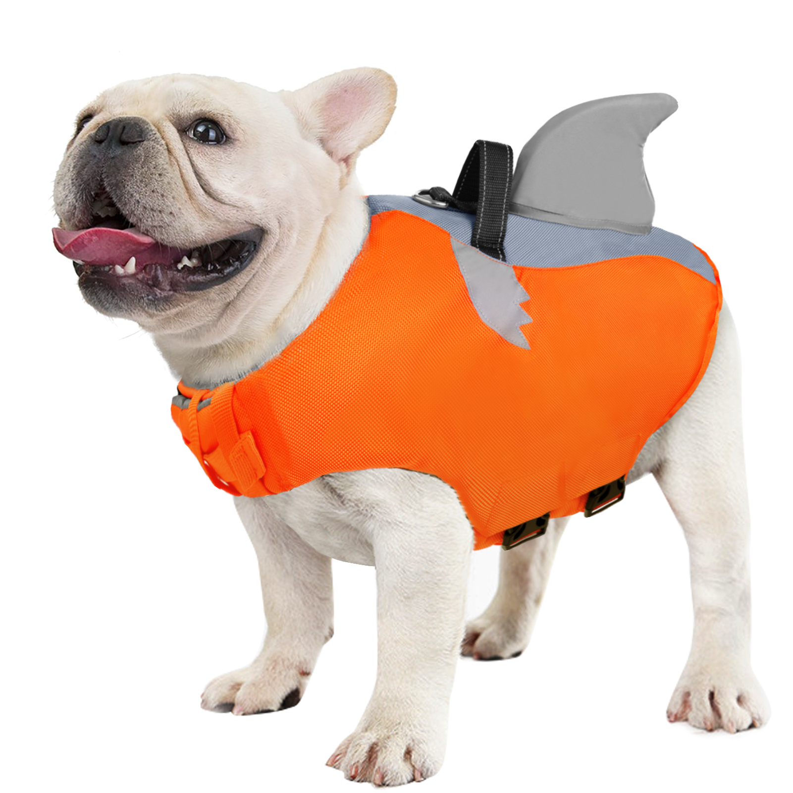 Dog Apparel